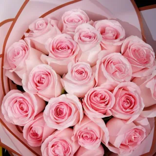 Top view of a pink roses bouquet wrapped in pink paper