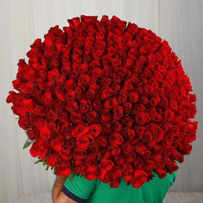 250 red rose bouquet 2 jpg