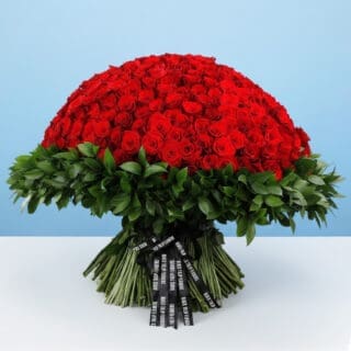A luxurious bouquet of 500 red roses surrounded by lush green ruscus leaves, perfect for Valentine's Day.