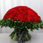 500_red_roses_for_valentine_s.jpg