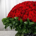 500_red_roses_for_valentine_s_2_.jpg