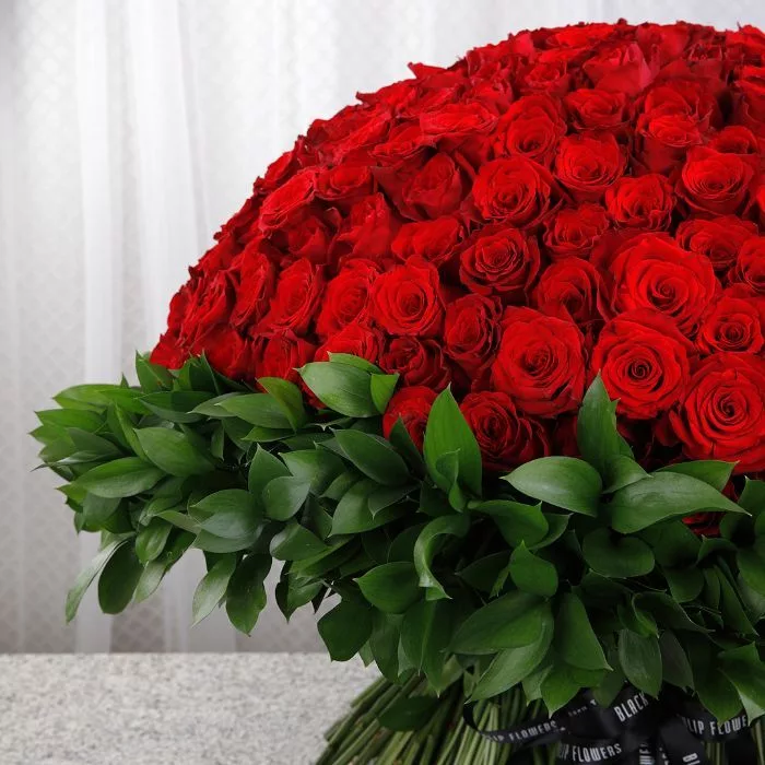 500 red roses for valentine s 2 jpg