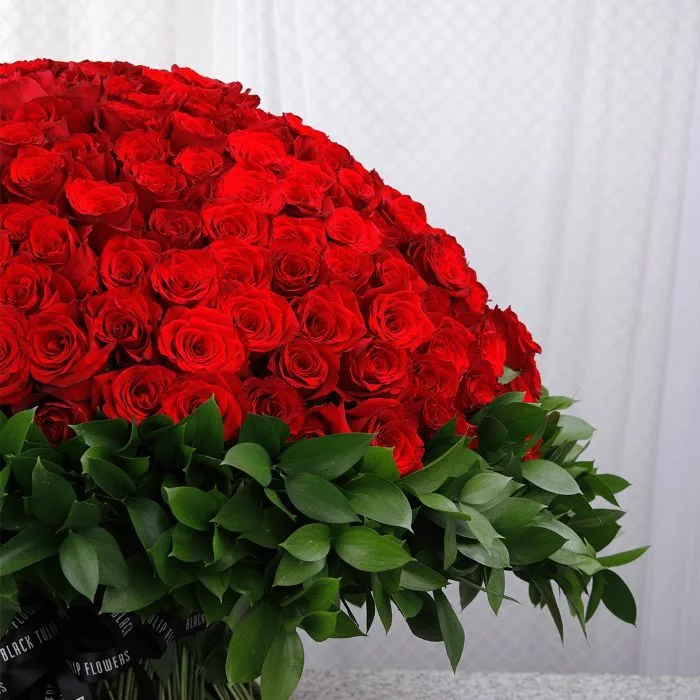 500 red roses for valentine s 3 jpg