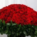 500_red_roses_for_valentine_s_4_.jpg