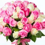 50_pink_and_white_roses_bouquet.png