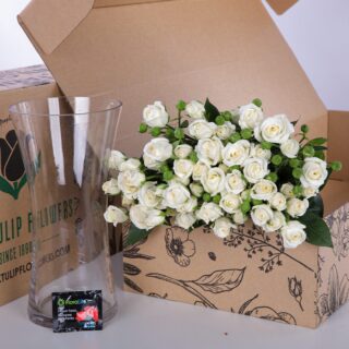 Spray Roses Snowflake with vase