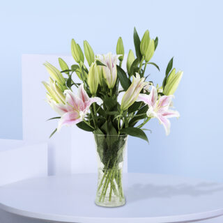 A clear glass vase with pink and white Oriental Lilies on a white table.