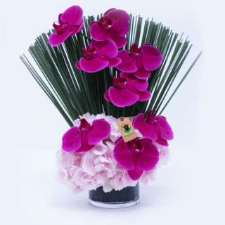 A Mother’s Treasure.