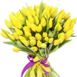 abundant_yellow_tulips.jpg