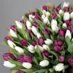 assorted_tulip_bouquet_3_.jpg