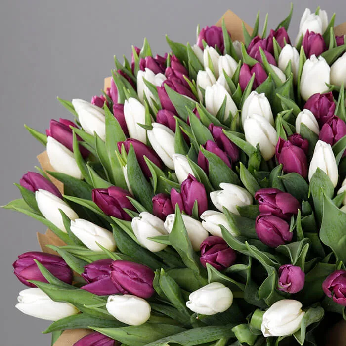 assorted tulip bouquet 3 jpg