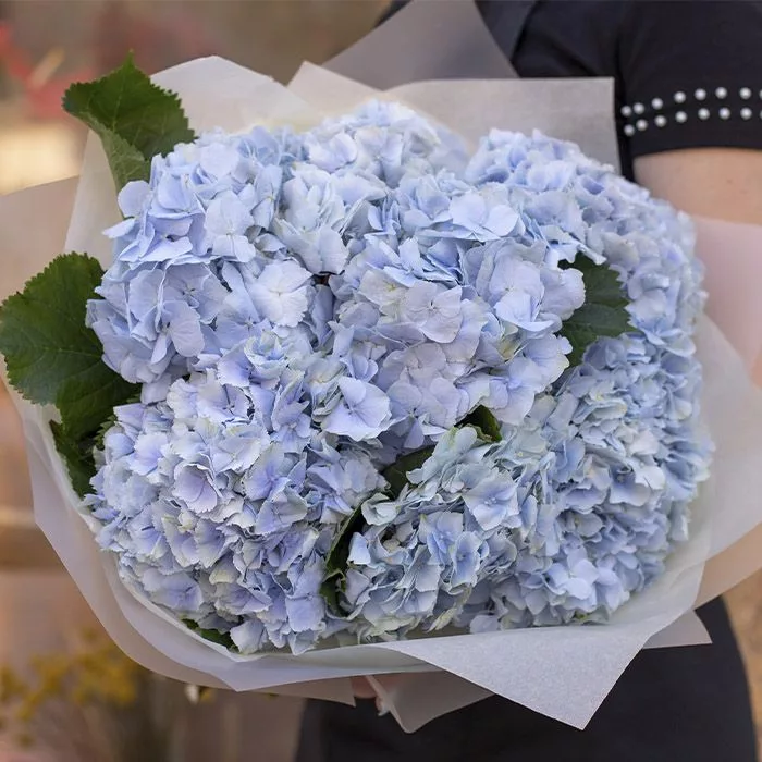 be blue hydrangea bouquet jpg