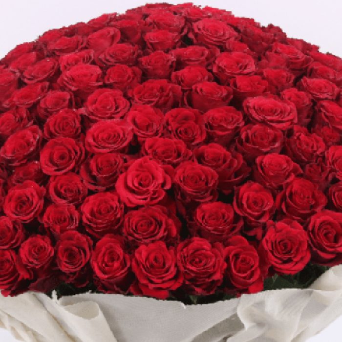 bouquet of 500 red roses