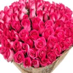 Bouquet of 50 premium pink roses 2 bouquet_of_50_premium_pink_roses.png