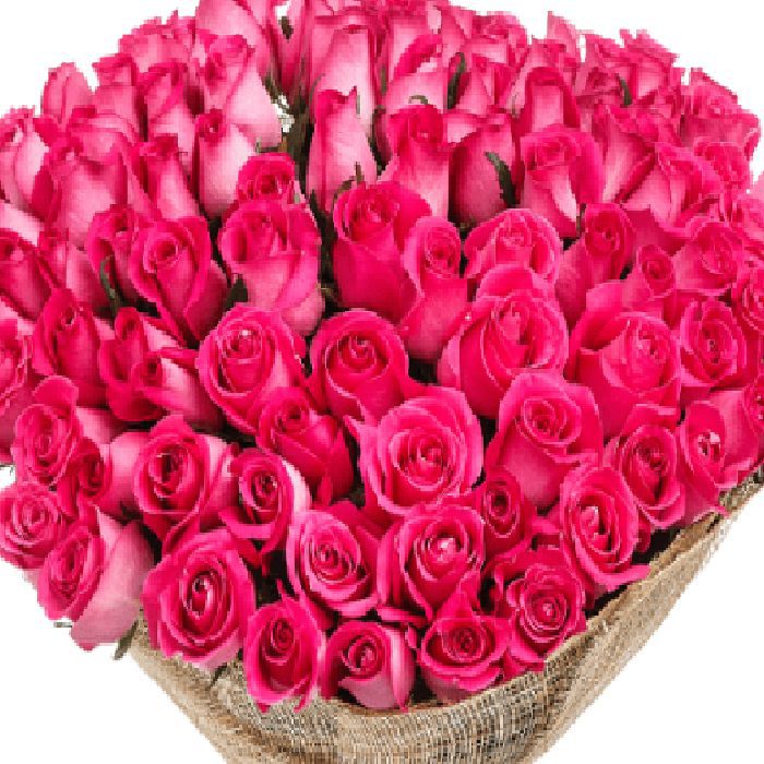 bouquet of 50 premium pink roses