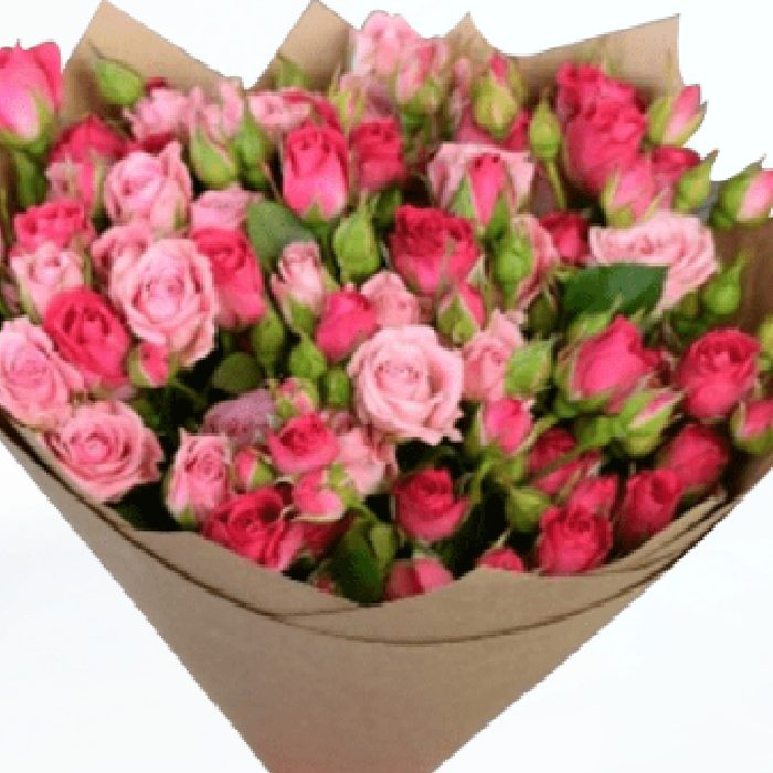 bouquet of mix pink spray roses 1