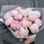 bouquet_of_pink_peonies.jpg