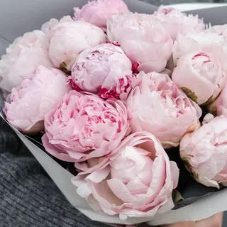 Bouquet of Pink Peonies Zoom in