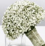 bridal_bouquet_-_gypsophila_round_-_copy.png