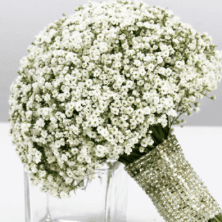 Pure Gypsophila Bridal Bouquet Zoom in