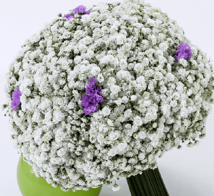 bridal bouquet gypsophila with statice purple copy