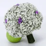 bridal_bouquet_-_gypsophila_with_statice_purple_2.png