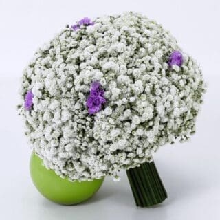 Gypsophila Bridal Bouquet Online