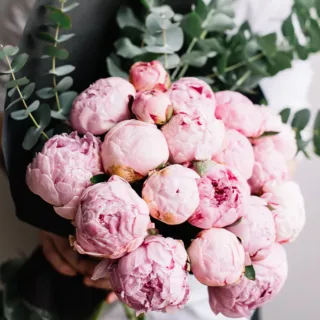 A large bouquet of pink peonies with eucalyptus leaves.