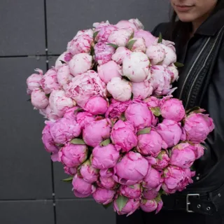 A person holding a large bouquet of 99 pink peonies