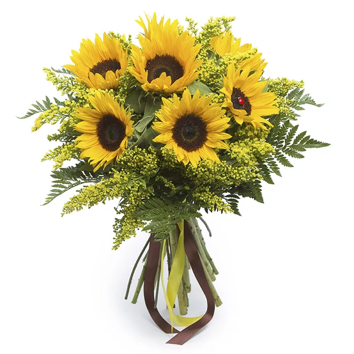 bunch_of_sunflowers.jpg A bouquet of bright yellow sunflowers with greenery and a brown ribbon.