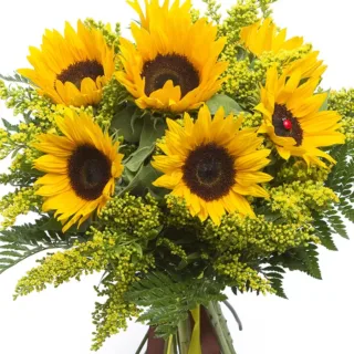 Bunch Of Sunflower Online