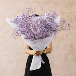 Charming Gypsophila Hand Bouquet