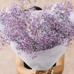 charming_gypsophila_hand_bouquet_2_.jpg