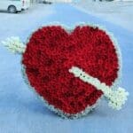 Delightful Cupid's Heart 1 delightful_cupid_s_heart.png