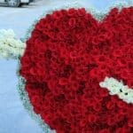 Delightful Cupid's Heart 2 delightful_cupid_s_heart_1.png