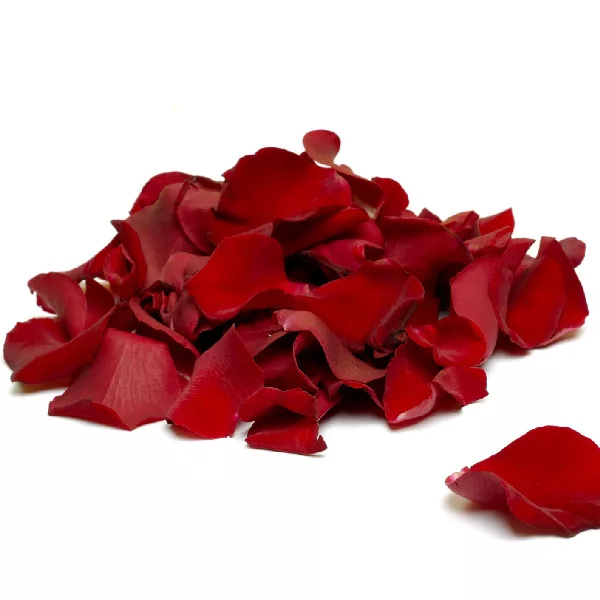 floating red rose petals jpg