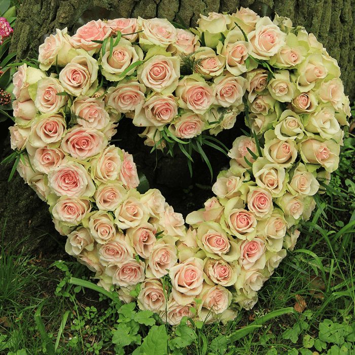 heart shape belle roses