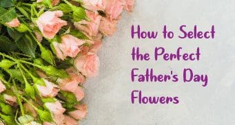 how to select the perfect fathers day flowers