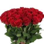 long_stem_grandeur_red_roses_2_.jpg