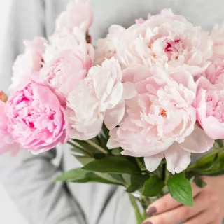 Peonies with Vase Zoom in