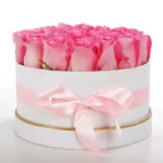 Pink Lush 1 pink_lush.jpg