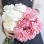 pink_white_carnations.jpg