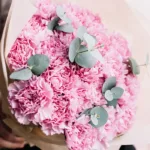 pinky_carnations_2_.jpg