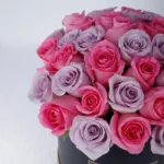 pretty_pink_and_purple_rose_box_3_.jpg