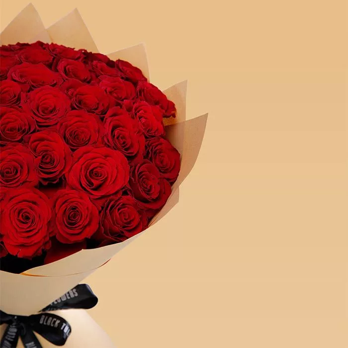 red rose upper class 3 jpg