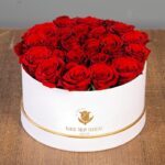 red_rose_in_white_box-1ST.png