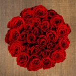 red_rose_in_white_box_-3RD.png