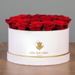 red_rose_in_white_box_4TH.png