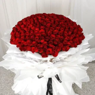 Top view of a 200 red roses bouquet, wrapped in white and neatly tied with a black ribbon.