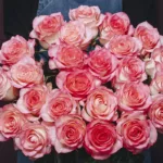 sentient_rose_bouquet_2_.jpg